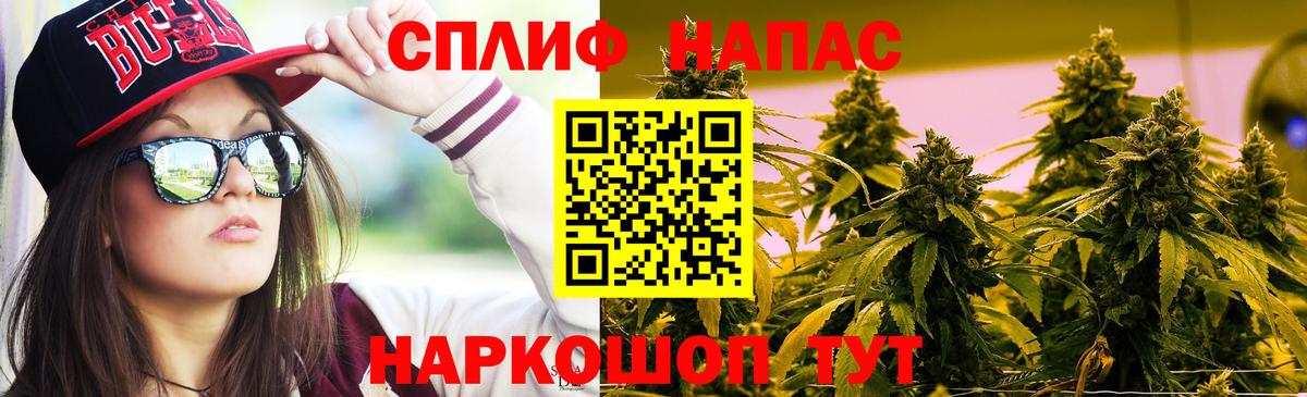 Шишки марихуана планчик Бутурлиновка